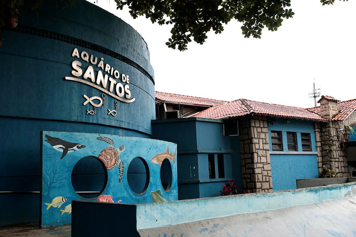 foto Not&iacute;cia Santos