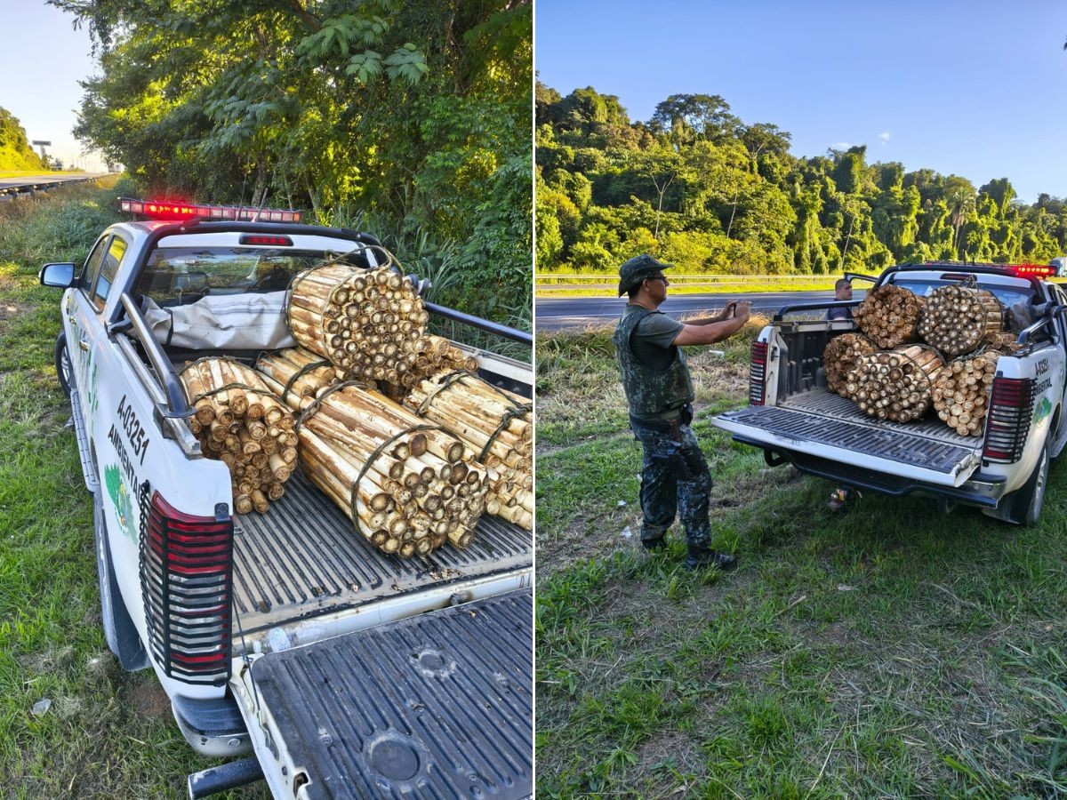 foto Not&iacute;cia Santos